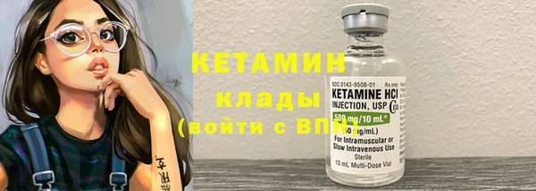 крисы Алексин
