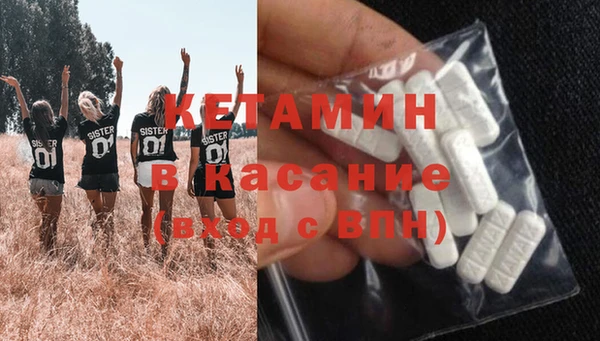крисы Алексин