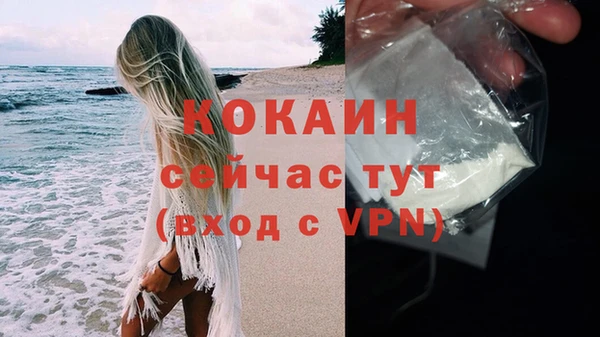 стафф Семёнов