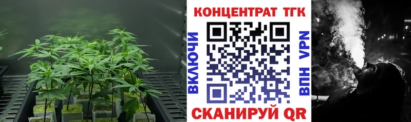 продажа наркотиков  дарк нет клад  ТГК Wax  Грязовец 