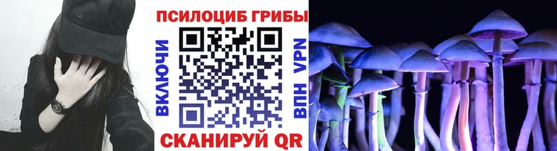 OMG ССЫЛКА как найти наркотики Грязовец Псилоцибиновые грибы Magic Shrooms